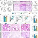 广州医科大学张清玲等合作最新Nature子刊