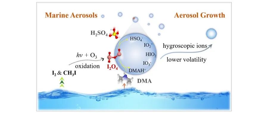 【翼享学术】JACS：I2O4气-液界面反应对海洋气溶胶增长的贡献