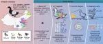 iMeta高引论文 | 浙江省农科院杨华/肖英平组-鸭肠道微生物参考基因组及与肠道区域、发育阶段和饲养条件相关的菌群特征