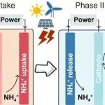 Carbon Future丨 打通氮循环新路径：氧化还原活性材料助力电化学回收氨