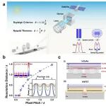 北京大学张志勇教授团队：超高灵敏短波红外探测 | Advanced Materials