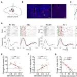 华东师范大学金鑫最新Science子刊