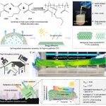 南工陈苏教授团队《Nano-Micro Lett.》：色彩可调的被动冷却光子超材料涂层 - 让建筑在阳光下“自降温”
