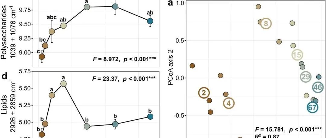 残体碳分解丨SOIL BIOL BIOCHEM：菌丝体生物量在死亡时的生长阶段决定了真菌残体的分解动力学
