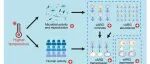 iMetaOmics | 王攀登/李文均等-揭秘河口病毒携带的“抗生素抗性基因库”