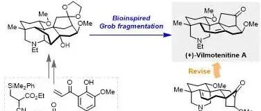JACS：川大华西药学院秦勇教授团队实现二萜生物碱vilmotenitine A的首次不对称全合成