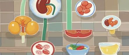 Science Translational Medicine：低盐模拟禁食饮食在干预进展性肾病方面的作用