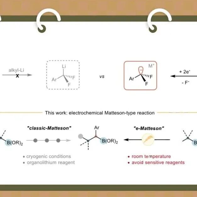 港中大呂海荣组和港科大全杨健组Nature：首例电化学驱动脱氟Matteson类同系化反应