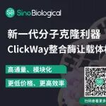 技术革新，克隆无忧：ClickWay整合酶引领无缝克隆新时代