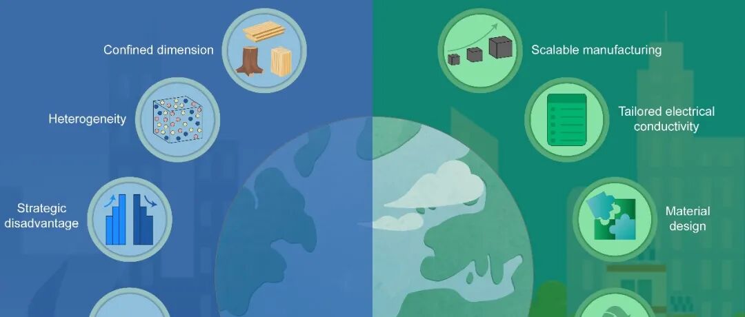 武汉大学陈朝吉教授 Matter 综述：超越传统生物炭 - 导电木基材料的设计、功能及环境影响