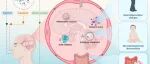 The Innovation Medicine | 从肠道到大脑：微塑料经脑肠轴影响神经健康的新证据