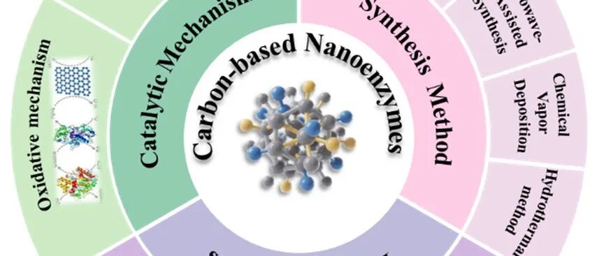 Coordin. Chem. Rev. | 碳基纳米酶的合成策略、类酶活性及其在比色/荧光传感高灵敏检测环境污染物的应用