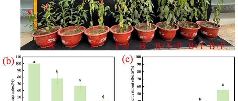 Ind Crop Prod | 环保所姚彦坡课题组和王凤课题组在土壤传播病害辣椒疫霉生物调控机制研究方面取得重要进展
