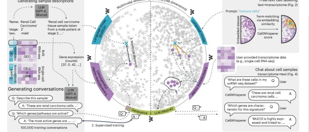 Nature Biotechnology\u00A0 | 多模态学习实现单细胞数据的聊天式探索
