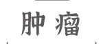 Adv Sci丨黄陈团队发现胃癌转移新的预后标志物及其潜在的调控机制