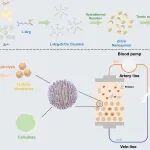 武汉大学周金平/钟自彪团队 ACS Nano：纤维素微球负载纳米酶-催化内毒素去磷酸化实现脓毒症精准治疗