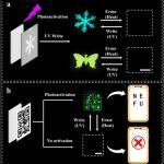 东北林大刘守新教授团队《Adv. Sci.》：从天然生物聚合物中实现光激活圆偏振室温磷光