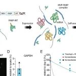 Science | 陈飞等团队开创细胞记忆新维度：基因编码系统TimeVault实现活细胞内转录组的长期稳定存储与回溯