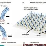 2026的第一、第二篇都有了，香港科技大学连发两篇Nature