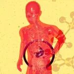 【科学普及】残忍的遗传规律：这 4 种癌如果父母不幸“中招”，下一代可能会“复制”