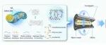 The Innovation Materials | 自适应内压封装：纤维燃料电池迈向可穿戴应用的新路径