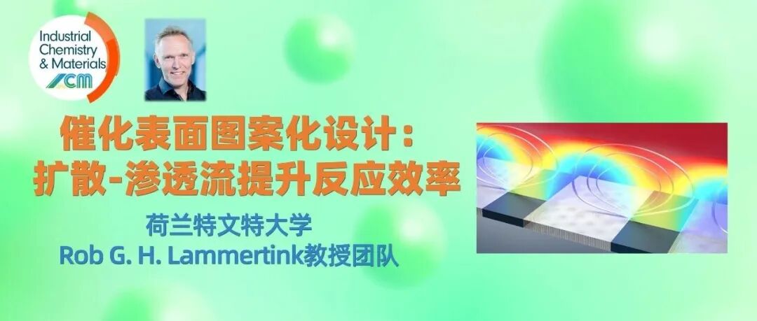 荷兰Rob G. H. Lammertink教授团队：催化表面图案化设计：扩散-渗透流提升化学反应效率