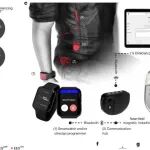 Nat+Nat Med | 破译脊髓损伤后血压紊乱的“神经密码”：揭示对抗性神经元结构，实现仿生电刺激精准双向调控