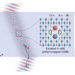 研究前沿：香港大学张翔团队，超透镜-磁控激子 | Nature Nanotechnology