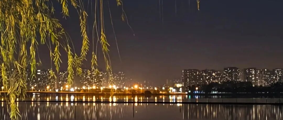 植科生活 | 华光五赋—校园寻光集