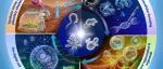 The Innovation Life | 生命科学下一站：从“暗物质”解码到可设计的生命系统