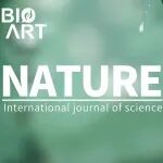 Nature\u00A0|\u00A0线粒体靶向序列在应激信号传递中的直接作用