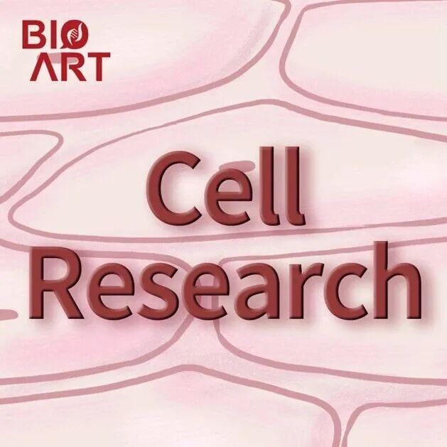 Cell Research |\u00A0化学重编程技术新突破—邓宏魁团队高效诱导人体T细胞为多能干细胞