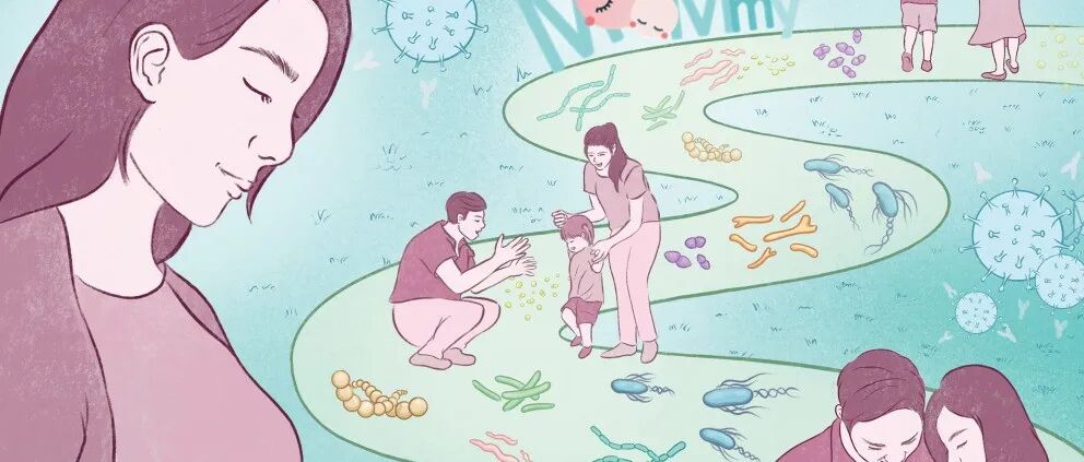 iMetaOmics期刊 第2卷第4期 在线正式发布