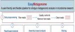 iMeta高引论文 | 刘永鑫/陈同/李国梁/陈实富/文涛-EasyMetagenome: 用户友好且灵活的宏基因组测序数据分析流程