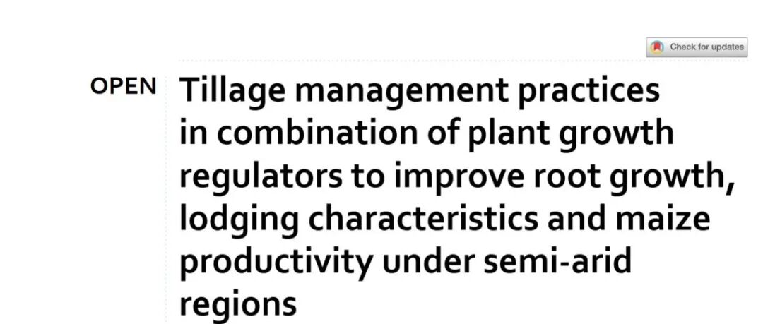 Scientific reports | 半干旱地区耕作管理措施结合植物生长调节剂改善根系生长、抗倒伏特性及玉米产量的研究