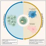 Cell | Treg研究下一步风口是什么？袁钧瑛团队最新综述