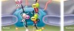 New phytologist | 华南农业大学发现决定花朵颜色的新“开关”——一个意想不到的线粒体蛋白