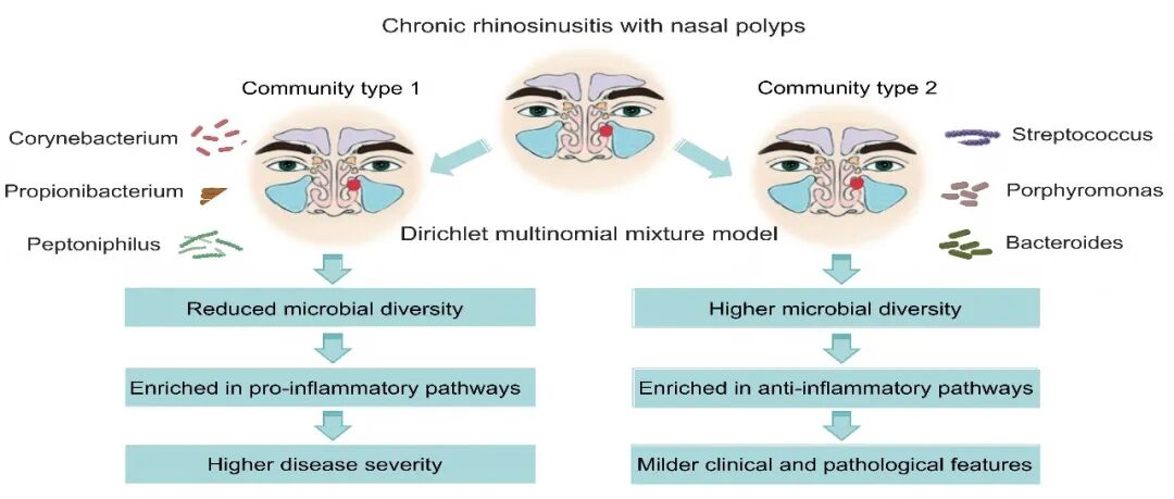 iMetaOmics | 中山大学李春炜/丁涛/李健团队-揭示慢性鼻窦炎伴鼻息肉存在不同鼻腔菌型及其临床病理特征