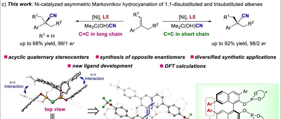 杭州师范大学方显杰/王婷：通过镍催化不对称马氏氢氰化反应合成非环α-季碳手性腈