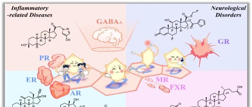 【J. Med. Chem.】2000-2025年获批甾体药物：药物化学视角