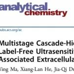 Analytical Chemistry｜华中科技大学同济医学院药学院余旭/徐丽团队：级联-分层核酸扩增用于肿瘤细胞外囊泡的无标记超灵敏电化学传感