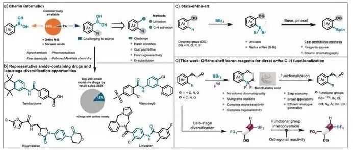 哥德堡大学\u00A0Henrik Sundén\u00A0团队：稳定\u00A0BF\u2082硼杂环化合物\u00A0——\u00A0选择性邻位\u00A0C-H\u00A0官能化的多功能试剂