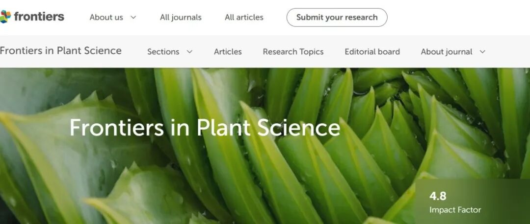 Frontiers in Plant Science专刊邀稿 | 生存的节律：作物如何应对交替发生的环境胁迫