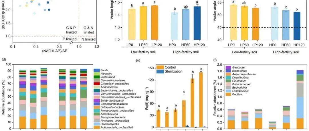 施肥土壤碳转化丨SOIL BIOL BIOCHEM：长期施磷土壤中微生物代谢限制驱动的额外碳转化：活性氧的作用