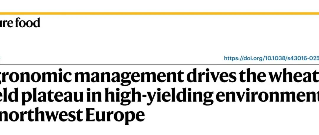 Nature Food|农艺管理是欧洲西北部高产环境下小麦产量停滞的主导因素