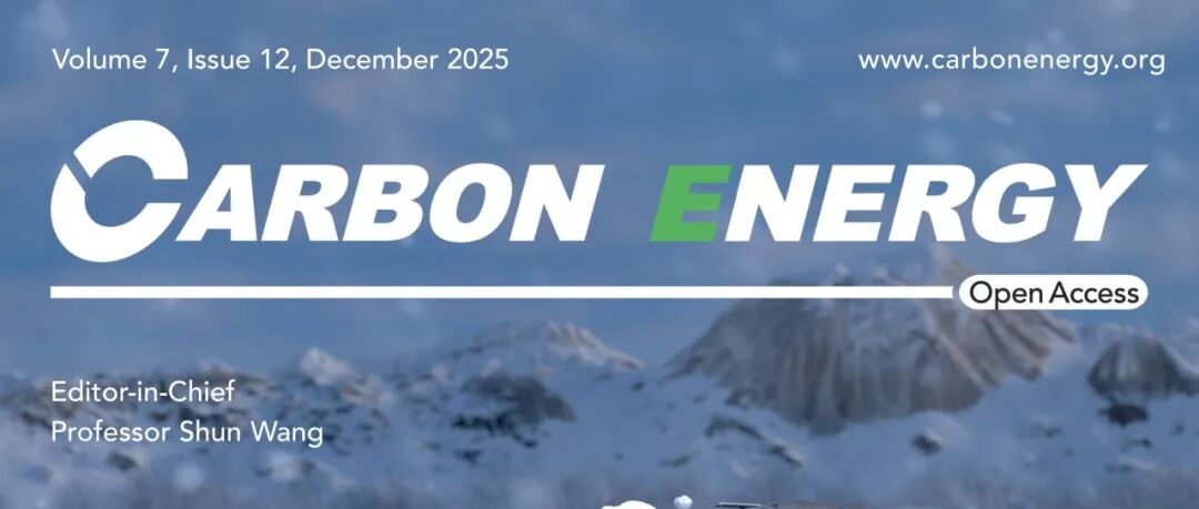 清华大学深圳国际研究生院李宝华&华南师范大学李伟善综述：锂电池化学中的硝酸锂效应