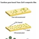 江苏大学：扫频超声修饰黄原胶和纳米氧化锌增强复合膜性能的结构与功能表征