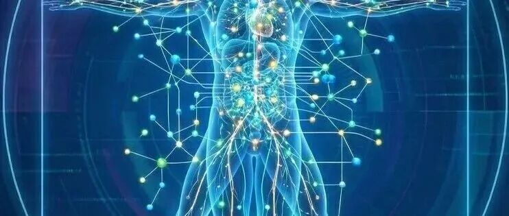 NC | TidyMass2解决代谢物溯源与功能模块分析难题