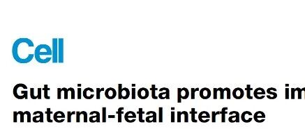 Cell丨肠道菌群促进母胎界面的免疫耐受