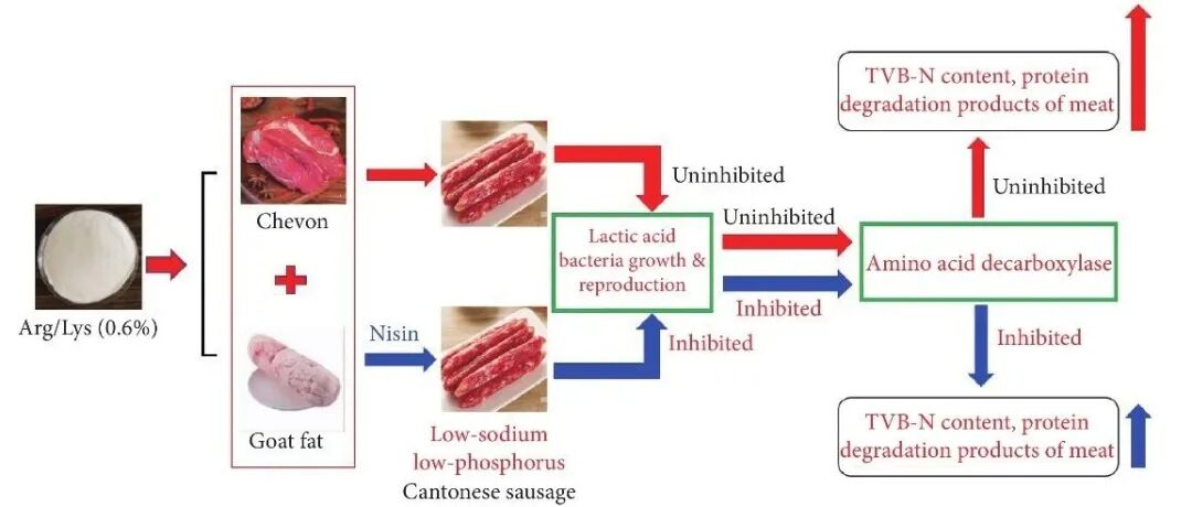 周存六教授、方红美高级工程师等：乳链菌肽通过抑制氨基酸脱羧酶的活性，延缓L-精氨酸（或L-赖氨酸）导致广东香肠总挥发性碱性氮含量增加